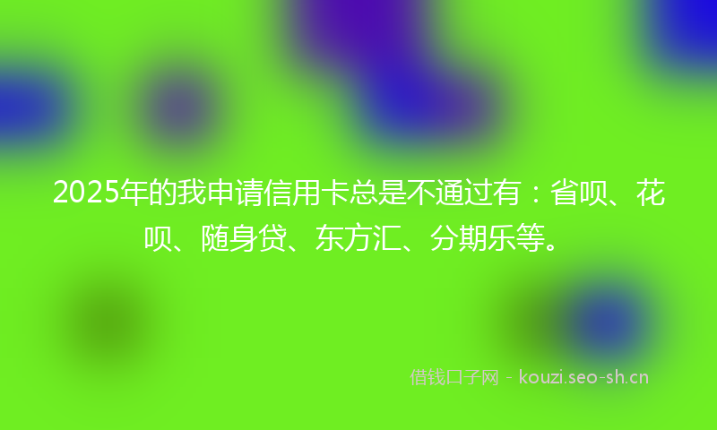 2025年的我申请信用卡总是不通过有：省呗、花呗、随身贷、东方汇、分期乐等。