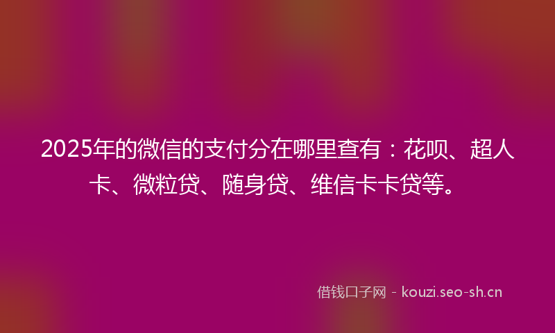 2025年的微信的支付分在哪里查有：花呗、超人卡、微粒贷、随身贷、维信卡卡贷等。