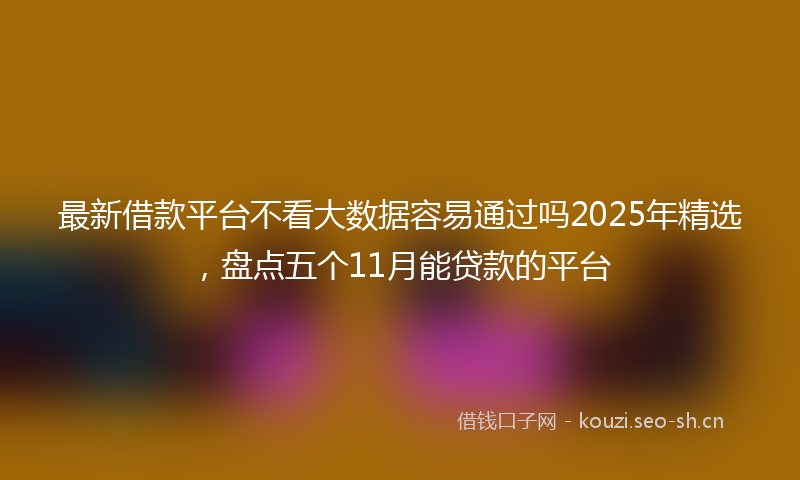 最新借款平台不看大数据容易通过吗2025年精选，盘点五个11月能贷款的平台