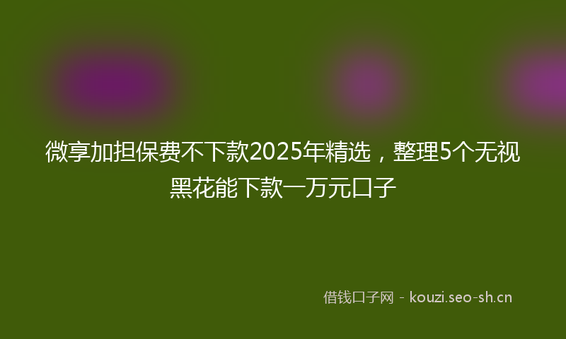 微享加担保费不下款2025年精选，整理5个无视黑花能下款一万元口子