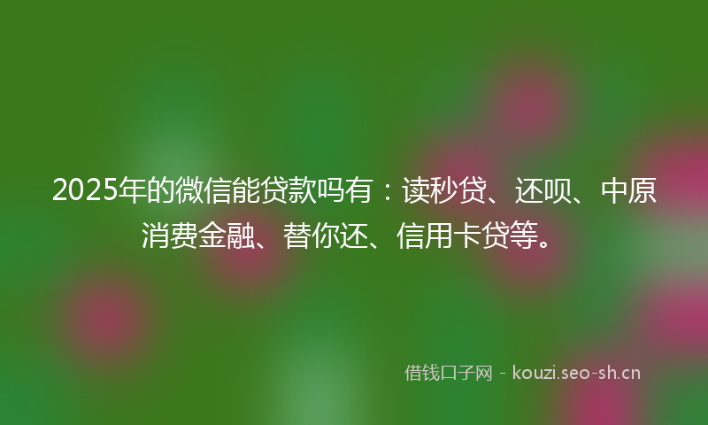 2025年的微信能贷款吗有：读秒贷、还呗、中原消费金融、替你还、信用卡贷等。