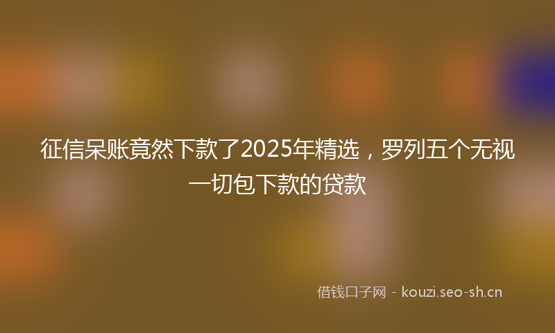征信呆账竟然下款了2025年精选，罗列五个无视一切包下款的贷款