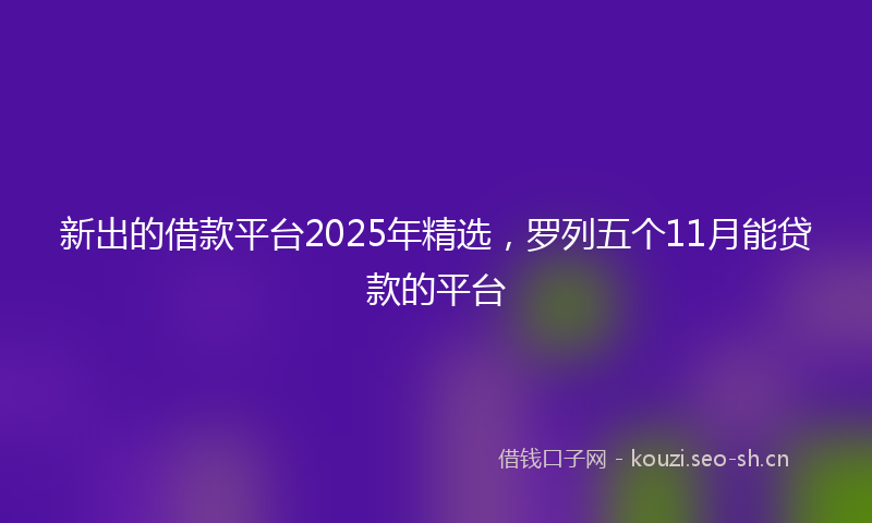新出的借款平台2025年精选，罗列五个11月能贷款的平台