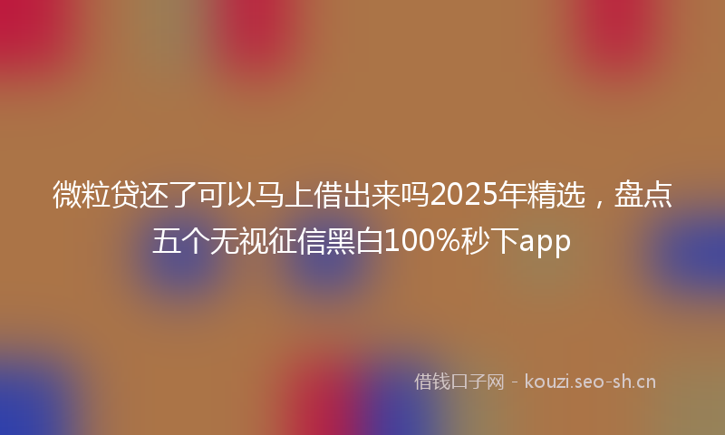 微粒贷还了可以马上借出来吗2025年精选，盘点五个无视征信黑白100%秒下app
