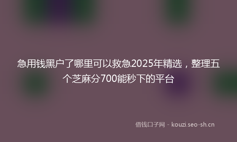 急用钱黑户了哪里可以救急2025年精选，整理五个芝麻分700能秒下的平台