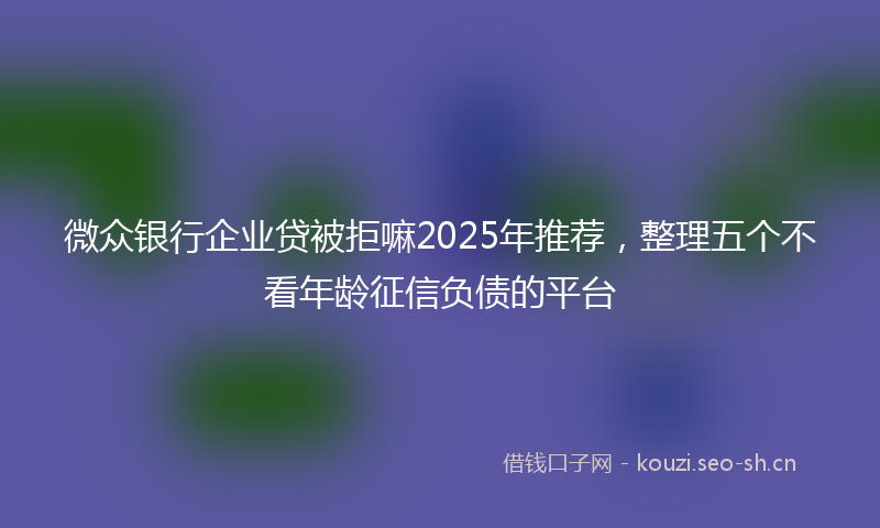 微众银行企业贷被拒嘛2025年推荐，整理五个不看年龄征信负债的平台