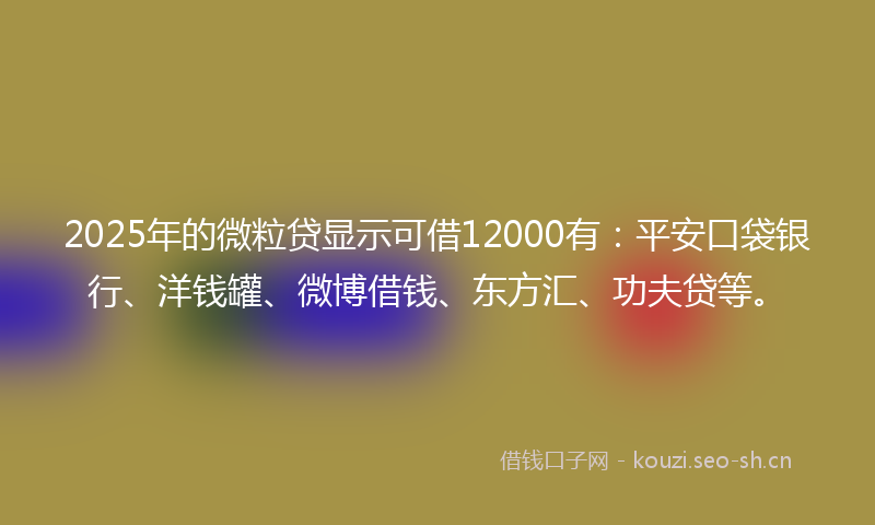 2025年的微粒贷显示可借12000有：平安口袋银行、洋钱罐、微博借钱、东方汇、功夫贷等。