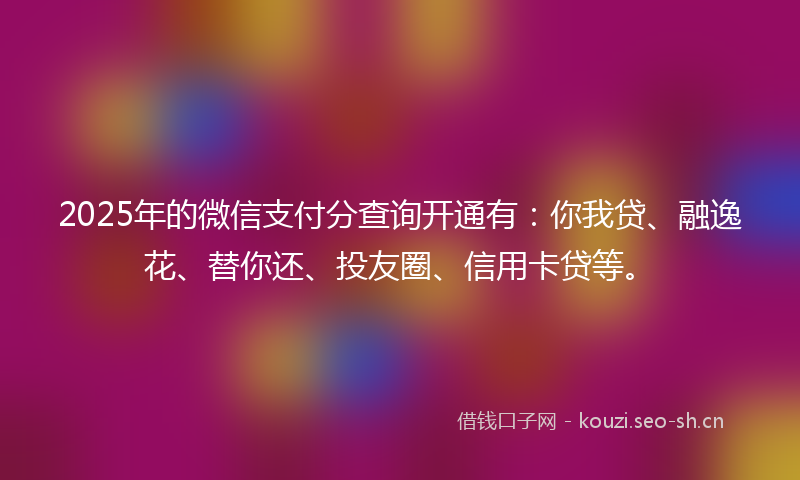 2025年的微信支付分查询开通有：你我贷、融逸花、替你还、投友圈、信用卡贷等。