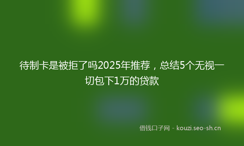 待制卡是被拒了吗2025年推荐，总结5个无视一切包下1万的贷款