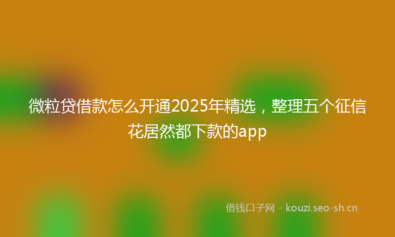 微粒贷借款怎么开通2025年精选，整理五个征信花居然都下款的app