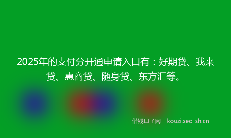2025年的支付分开通申请入口有：好期贷、我来贷、惠商贷、随身贷、东方汇等。