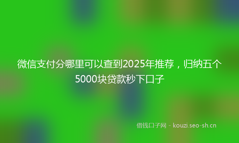 微信支付分哪里可以查到2025年推荐，归纳五个5000块贷款秒下口子