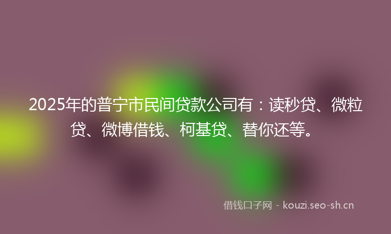 2025年的普宁市民间贷款公司有：读秒贷、微粒贷、微博借钱、柯基贷、替你还等。
