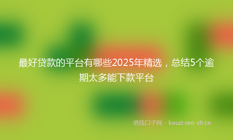 最好贷款的平台有哪些2025年精选,总结5个逾期太多能下款平台