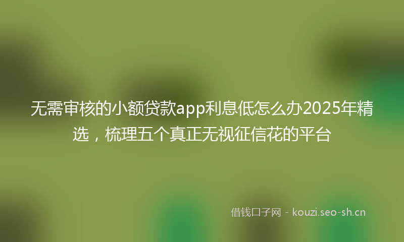 无需审核的小额贷款app利息低怎么办2025年精选，梳理五个真正无视征信花的平台