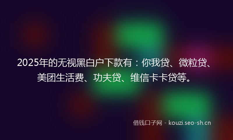 2025年的无视黑白户下款有：你我贷、微粒贷、美团生活费、功夫贷、维信卡卡贷等。
