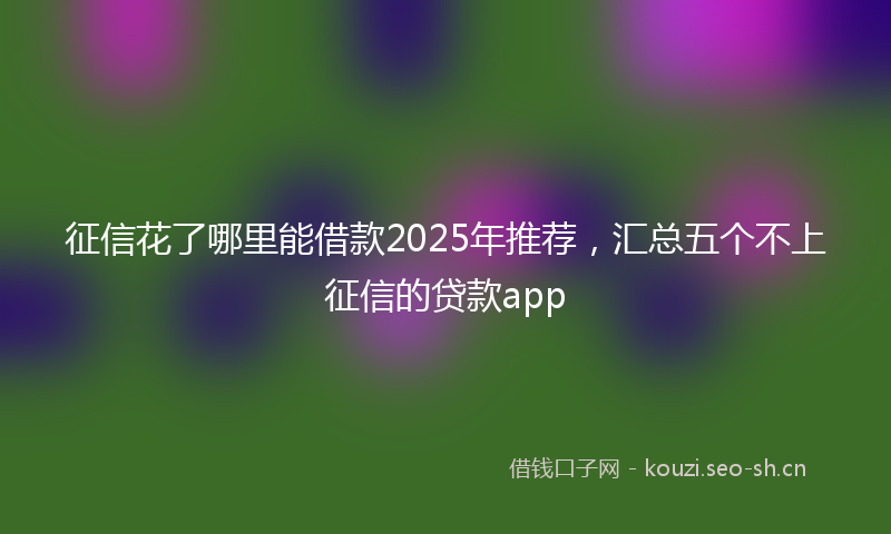 征信花了哪里能借款2025年推荐，汇总五个不上征信的贷款app