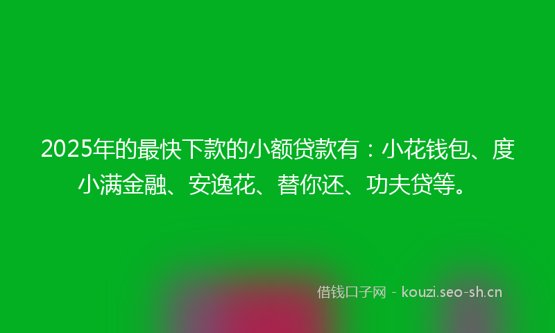 2025年的最快下款的小额贷款有:小花钱包、度小满金融、安逸花、替你还、功夫贷等。