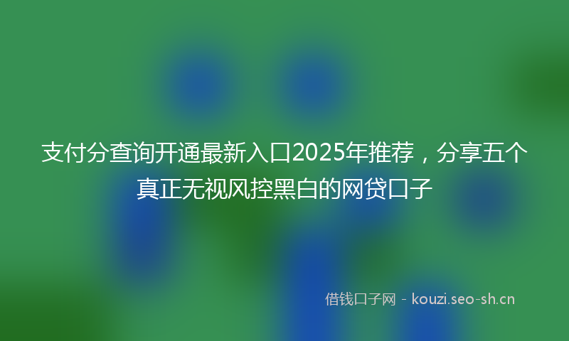 支付分查询开通最新入口2025年推荐，分享五个真正无视风控黑白的网贷口子