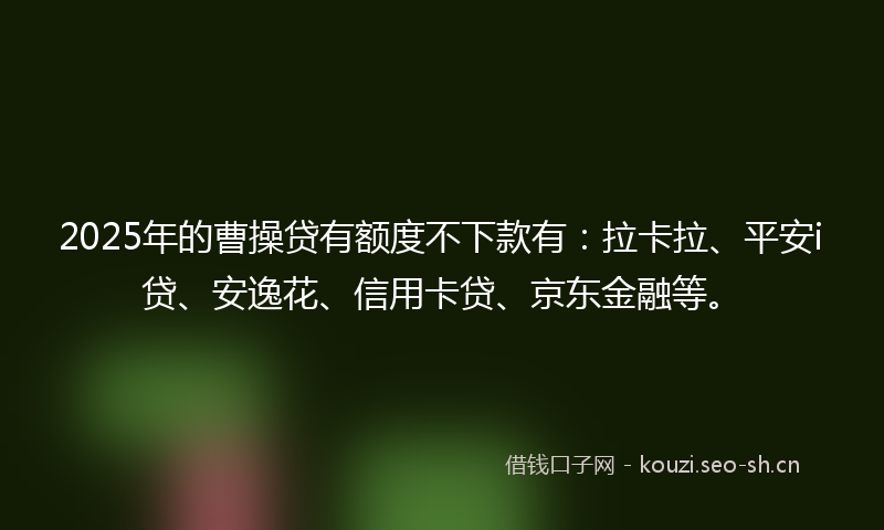 2025年的曹操贷有额度不下款有：拉卡拉、平安i贷、安逸花、信用卡贷、京东金融等。