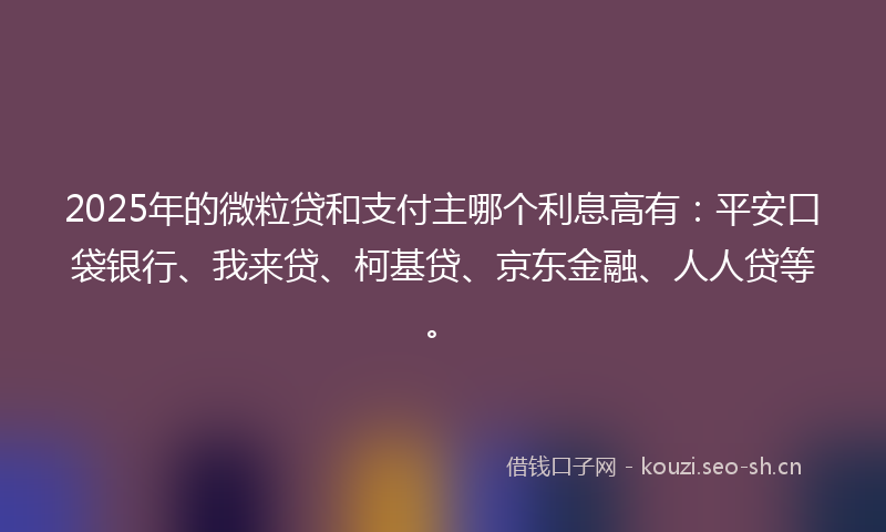 2025年的微粒贷和支付主哪个利息高有：平安口袋银行、我来贷、柯基贷、京东金融、人人贷等。