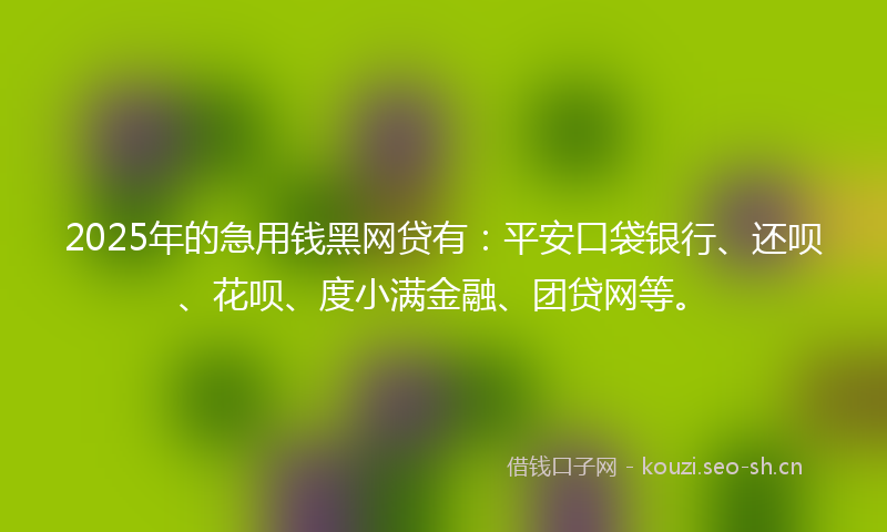 2025年的急用钱黑网贷有：平安口袋银行、还呗、花呗、度小满金融、团贷网等。