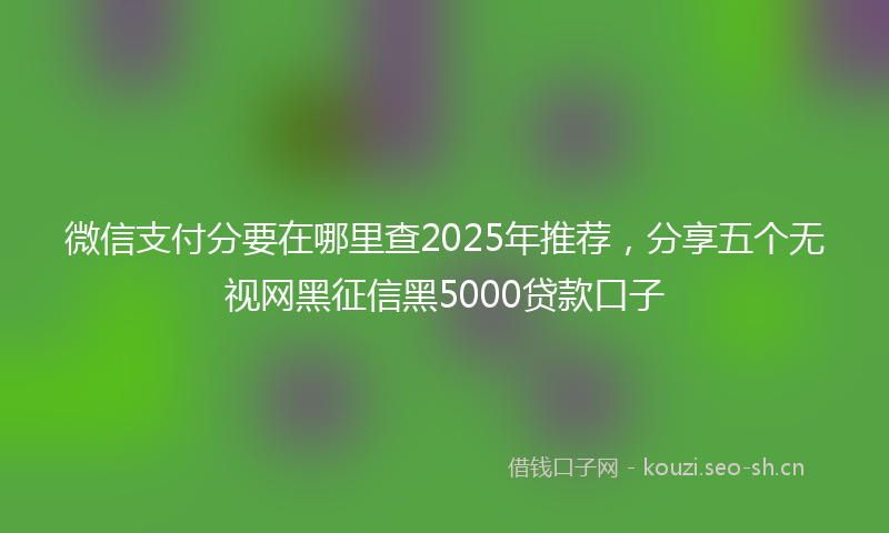 微信支付分要在哪里查2025年推荐,分享五个无视网黑征信黑5000贷款口子