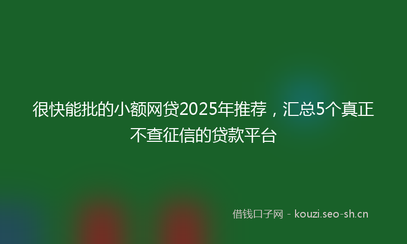 很快能批的小额网贷2025年推荐，汇总5个真正不查征信的贷款平台