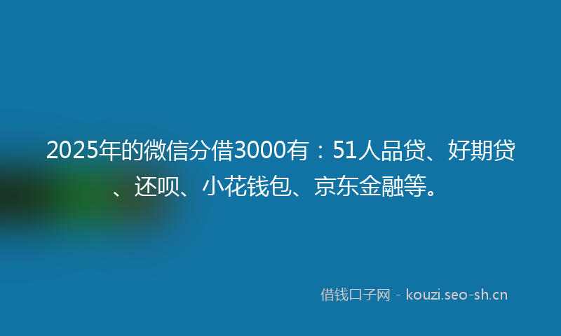 2025年的微信分借3000有：51人品贷、好期贷、还呗、小花钱包、京东金融等。