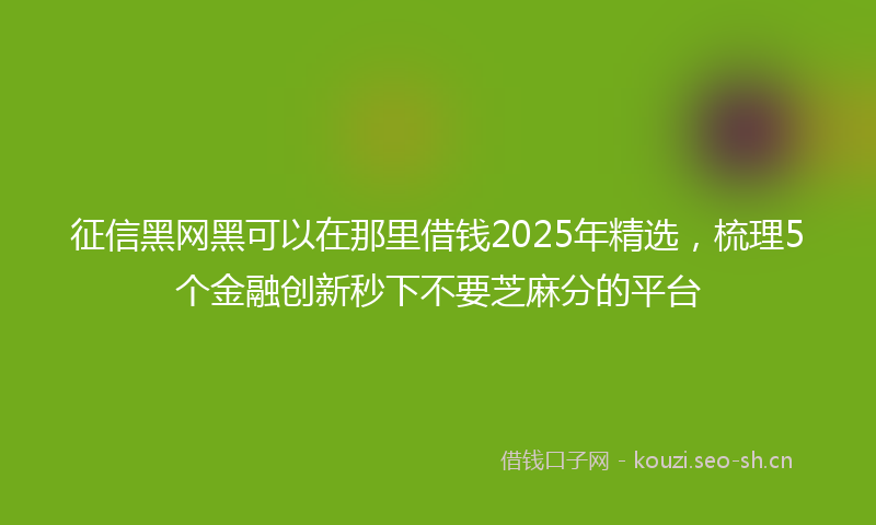 征信黑网黑可以在那里借钱2025年精选，梳理5个金融创新秒下不要芝麻分的平台