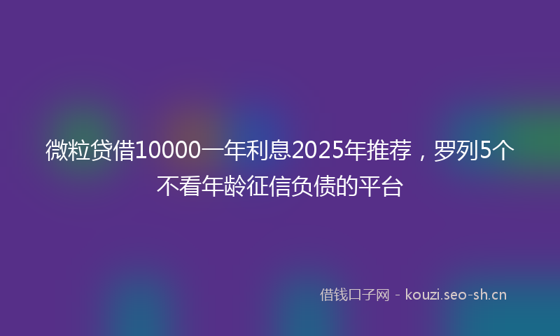 微粒贷借10000一年利息2025年推荐，罗列5个不看年龄征信负债的平台