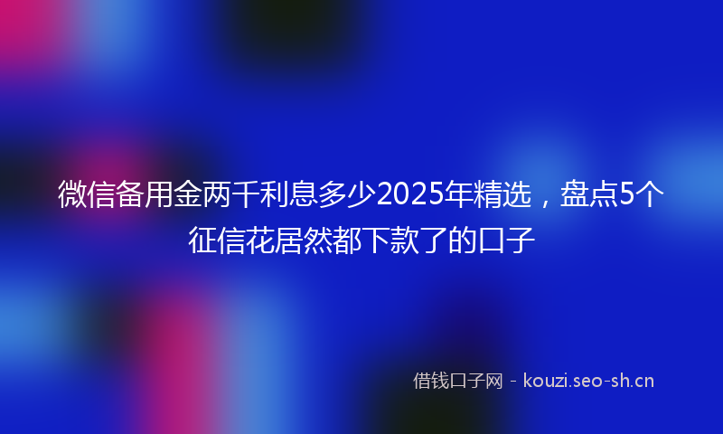 微信备用金两千利息多少2025年精选，盘点5个征信花居然都下款了的口子