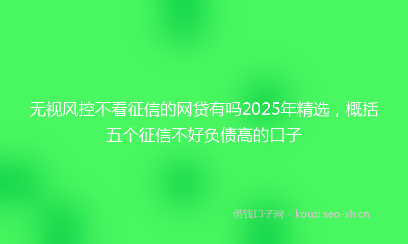 无视风控不看征信的网贷有吗2025年精选，概括五个征信不好负债高的口子