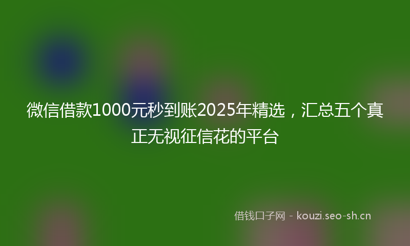 微信借款1000元秒到账2025年精选，汇总五个真正无视征信花的平台