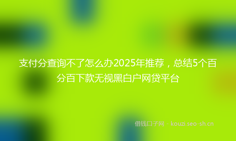 支付分查询不了怎么办2025年推荐，总结5个百分百下款无视黑白户网贷平台