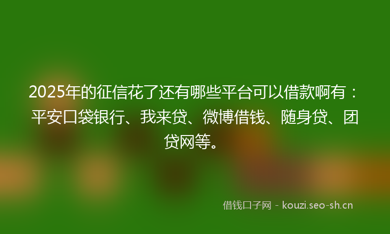2025年的征信花了还有哪些平台可以借款啊有：平安口袋银行、我来贷、微博借钱、随身贷、团贷网等。
