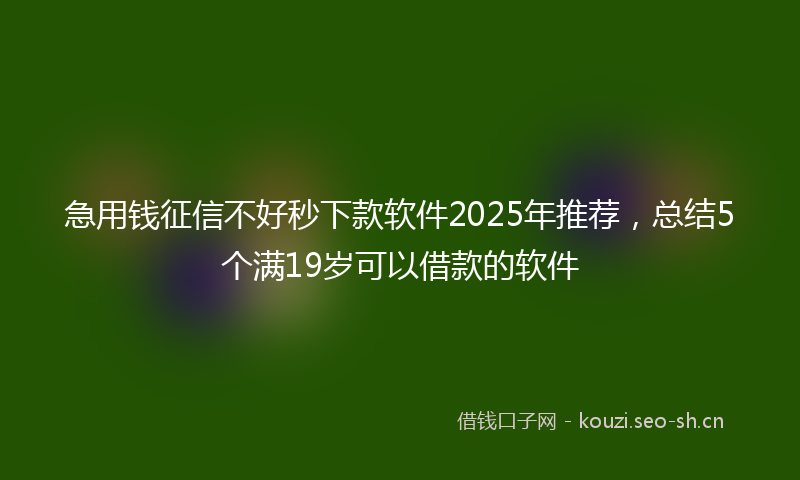 急用钱征信不好秒下款软件2025年推荐，总结5个满19岁可以借款的软件