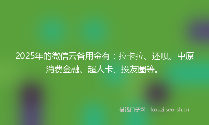2025年的微信云备用金有：拉卡拉、还呗、中原消费金融、超人卡、投友圈等。