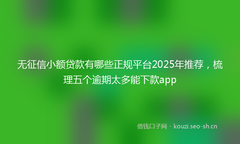 无征信小额贷款有哪些正规平台2025年推荐，梳理五个逾期太多能下款app
