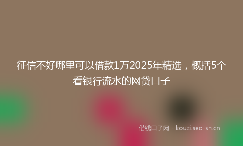 征信不好哪里可以借款1万2025年精选，概括5个看银行流水的网贷口子