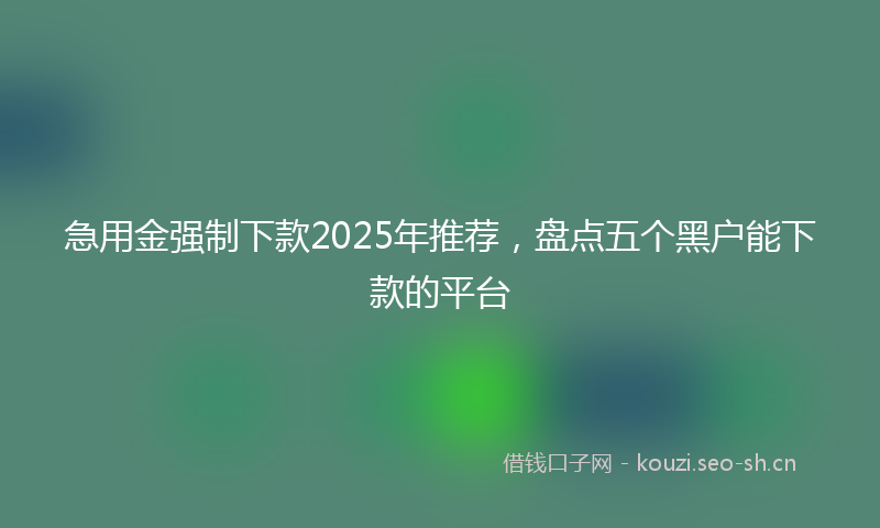 急用金强制下款2025年推荐，盘点五个黑户能下款的平台