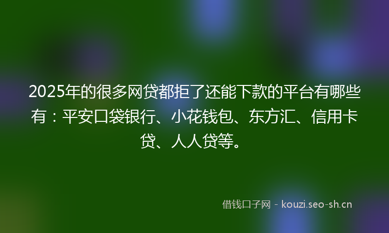 2025年的很多网贷都拒了还能下款的平台有哪些有：平安口袋银行、小花钱包、东方汇、信用卡贷、人人贷等。