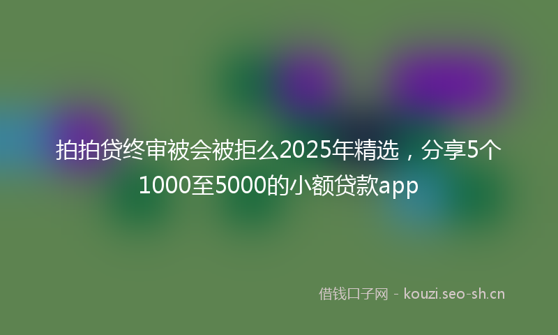 拍拍贷终审被会被拒么2025年精选，分享5个1000至5000的小额贷款app