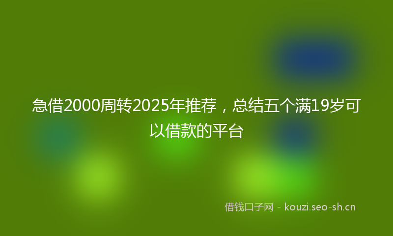 急借2000周转2025年推荐，总结五个满19岁可以借款的平台