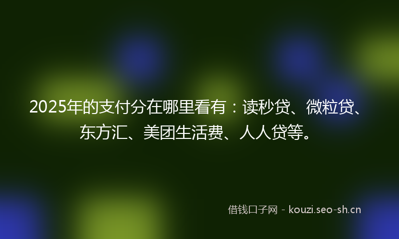 2025年的支付分在哪里看有：读秒贷、微粒贷、东方汇、美团生活费、人人贷等。