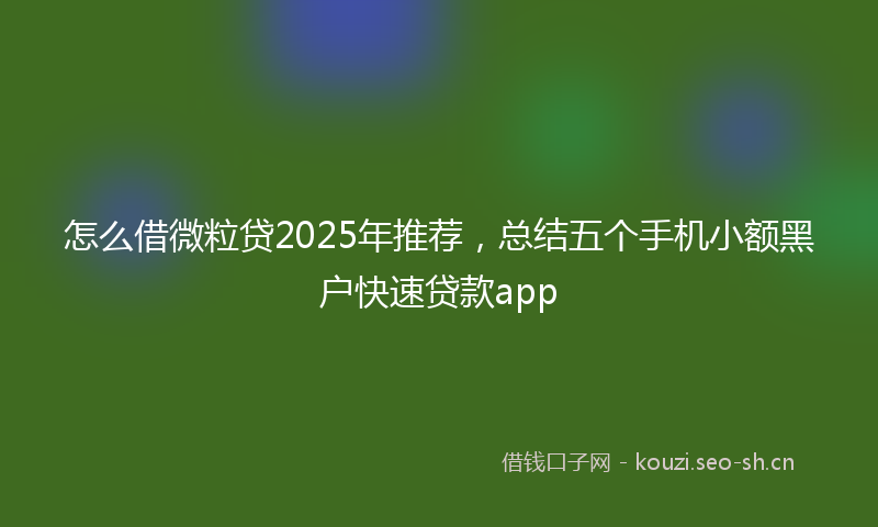 怎么借微粒贷2025年推荐，总结五个手机小额黑户快速贷款app