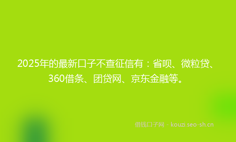 2025年的最新口子不查征信有：省呗、微粒贷、360借条、团贷网、京东金融等。