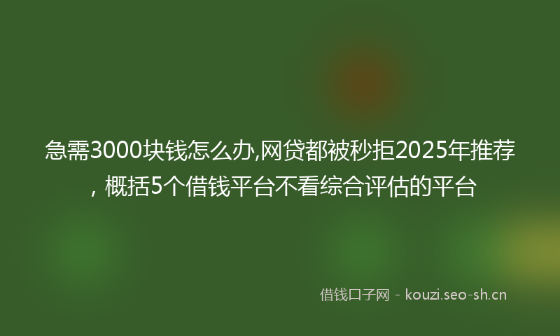 急需3000块钱怎么办,网贷都被秒拒2025年推荐，概括5个借钱平台不看综合评估的平台