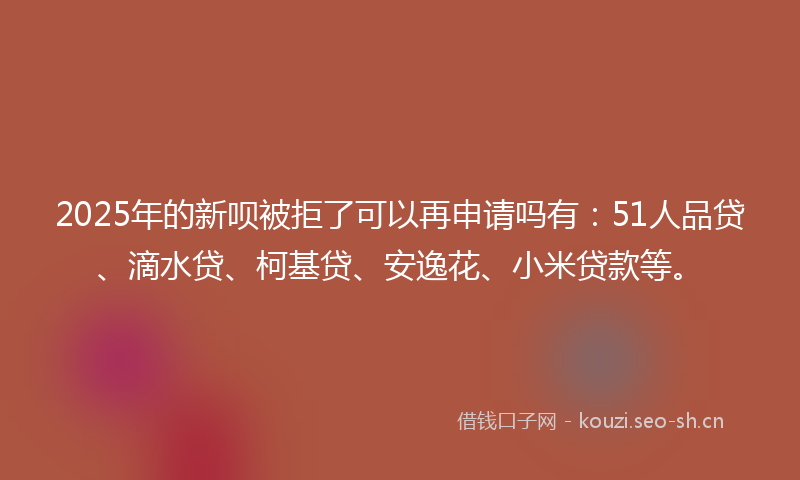 2025年的新呗被拒了可以再申请吗有：51人品贷、滴水贷、柯基贷、安逸花、小米贷款等。