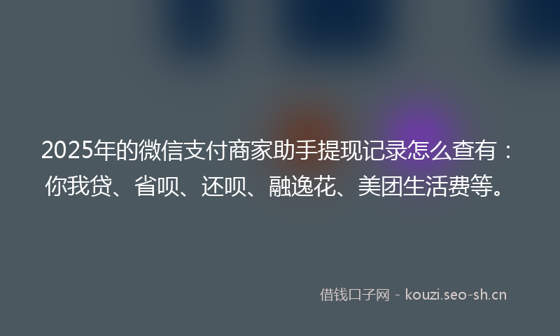 2025年的微信支付商家助手提现记录怎么查有：你我贷、省呗、还呗、融逸花、美团生活费等。